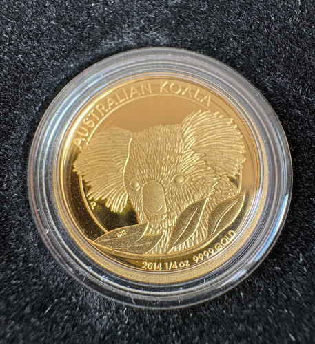 Goldmünze koala - oz,