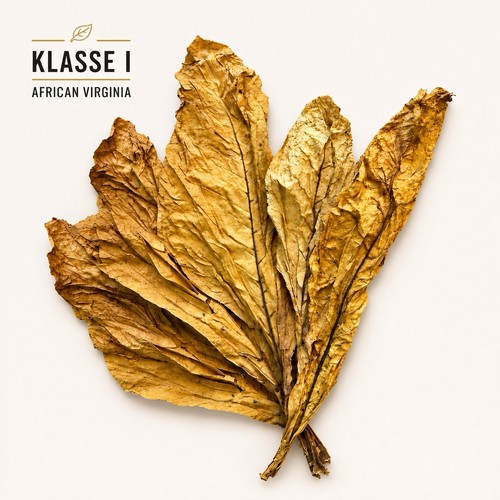 African virginia klasse - african,