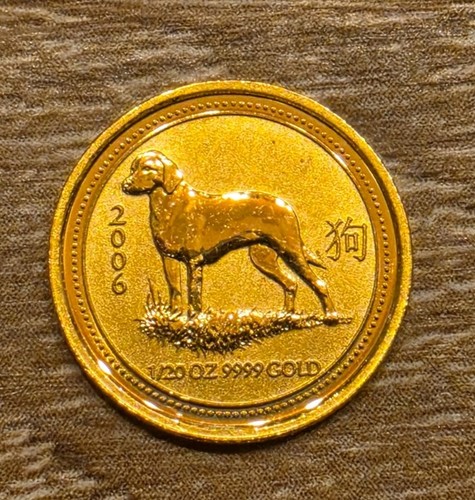Luna hund 2006 1 - luna, 2006,