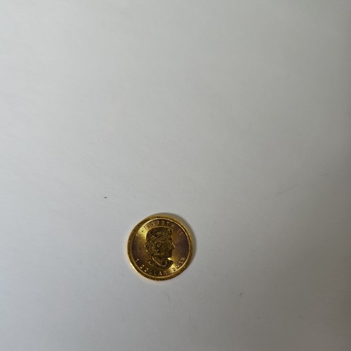 Goldmünze maple leaf 2019 - goldmünze,