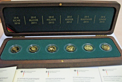 6x20 euro gold - 6x20,