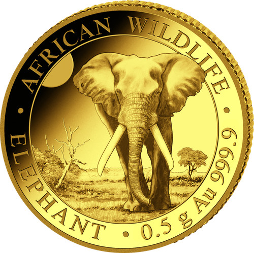 Goldmünze somalia elefant 5 - somalia,